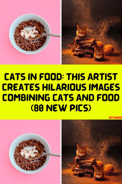 animals photoshopped into food|80 Weirdly Delicious Images Of Cats Photoshopped Into .